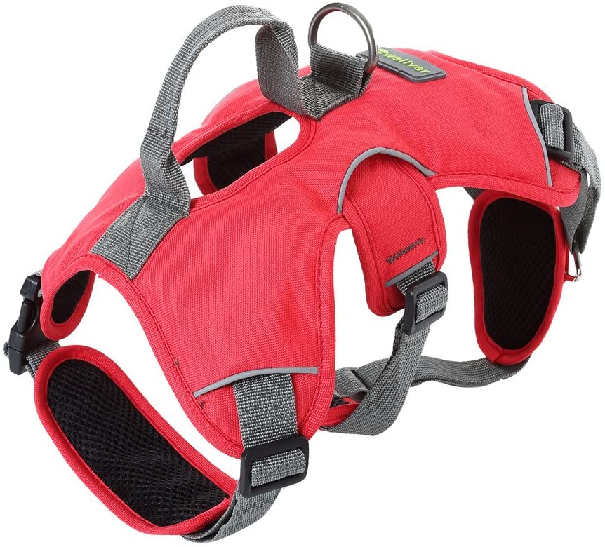 Pet Harness for Dogs Cats | Adjustable Soft Padded Vest - Large