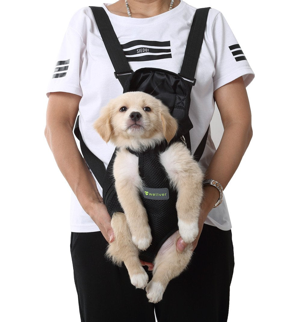 Dog front deals facing carrier